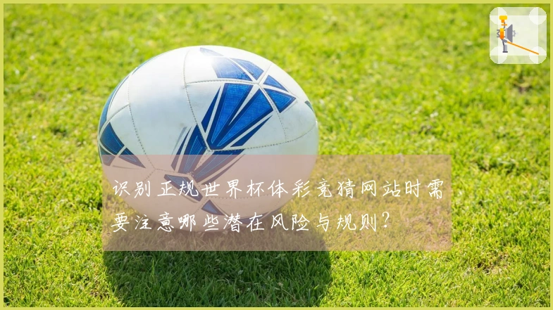 识别正规世界杯体彩竞猜网站时需要注意哪些潜在风险与规则？