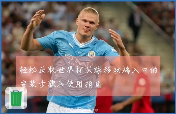 轻松获取世界杯买球移动端入口的安装步骤和使用指南
