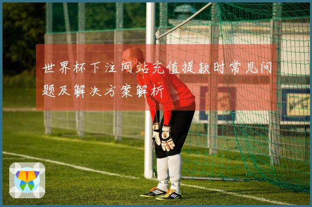 世界杯下注网站充值提款时常见问题及解决方案解析