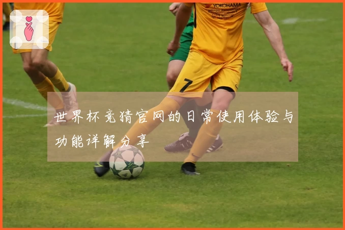 世界杯竞猜官网的日常使用体验与功能详解分享