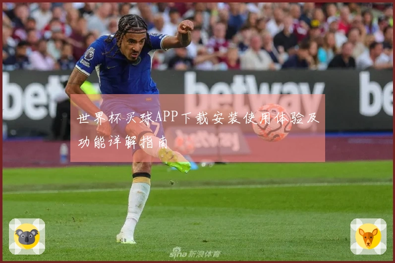 世界杯买球APP下载安装使用体验及功能详解指南