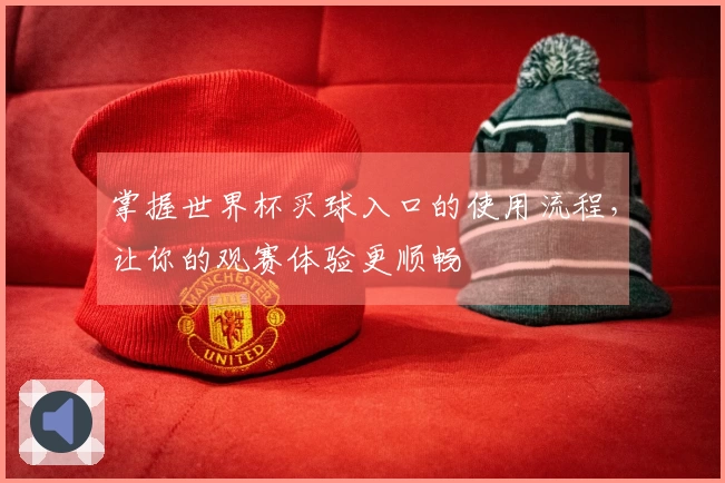 掌握世界杯买球入口的使用流程，让你的观赛体验更顺畅