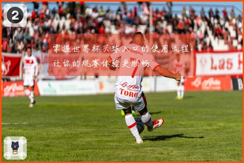 掌握世界杯买球入口的使用流程，让你的观赛体验更顺畅