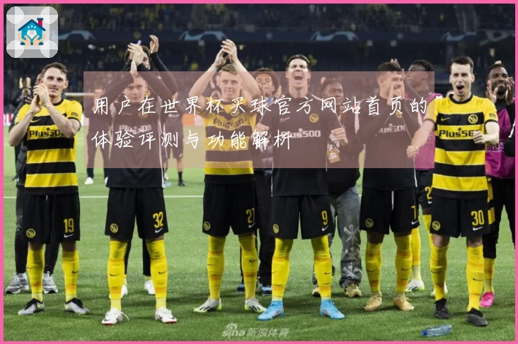 用户在世界杯买球官方网站首页的体验评测与功能解析